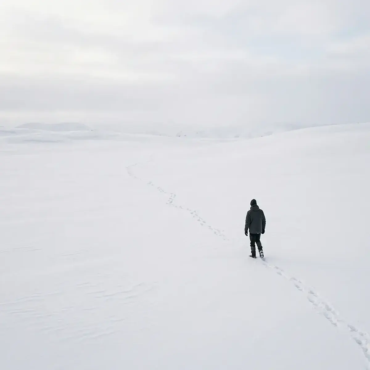 Dreamlike scene representing Snow